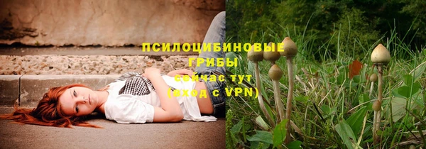 apvp Абдулино